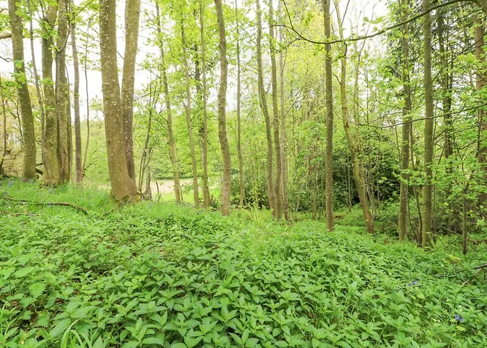 Brampton * Appleby-in-Westmorland